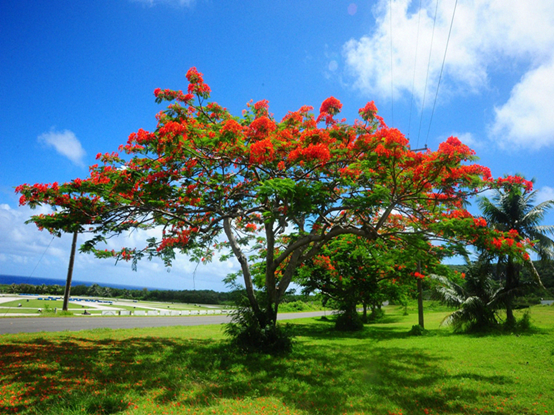 51d29548614102329f738076137d118