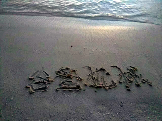 a2d542f8a66bfe2b9f01fbe6eb0c31f