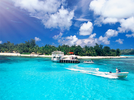 e81547e25bd0bbf8cf545564ccc169c